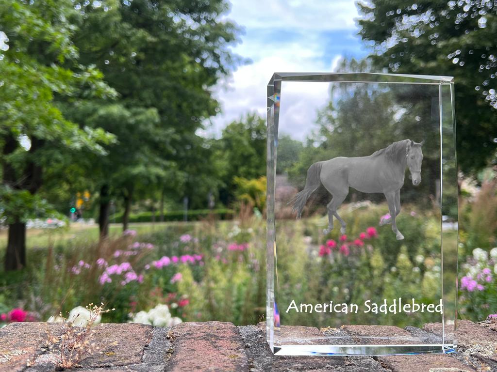 American Saddlebred – Crystal with a picture of a horse, photo in glass | Art-Dog