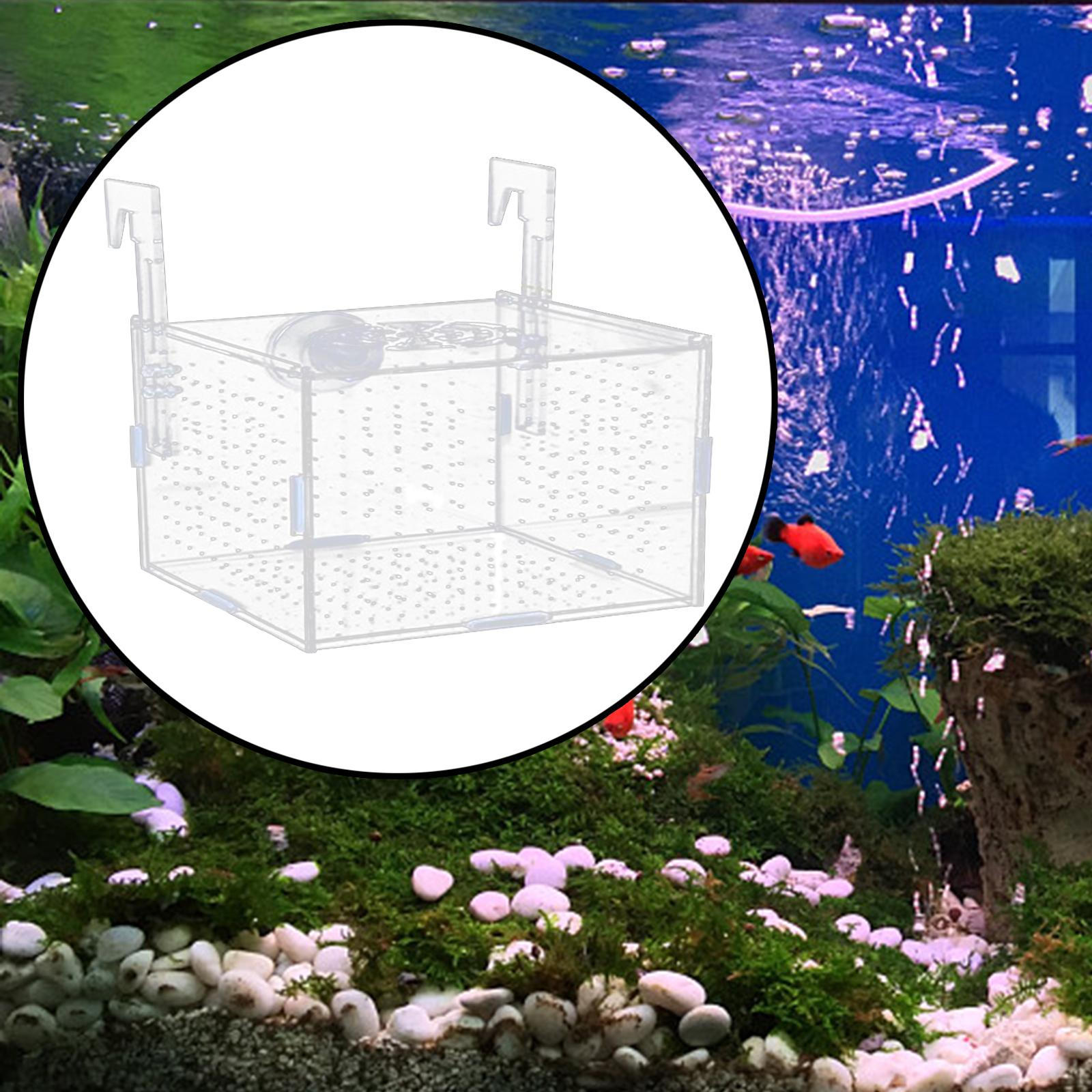 Breeding Isolation Box for Acrylic Tank with Fry Holder  15x10x10cm and hook