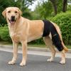 Breathable Pet Leg Support Adjustable Leg Fixation Strap Pet Recovery Bandage Leg Injury Care