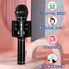 JSS EVN Karaoke Microphone System Handheld USB Rechargeable Portable Speaker Silver with English Manual