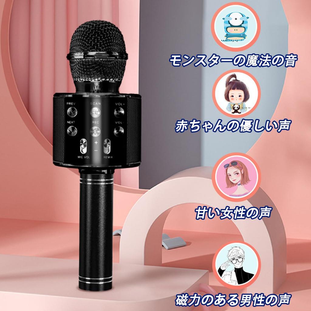JSS EVN Karaoke Microphone System Handheld USB Rechargeable Portable Speaker Silver with English Manual
