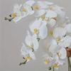 Realistic Phalaenopsis Orchid Single Stem for Wedding, Home Decor, and Floral Art