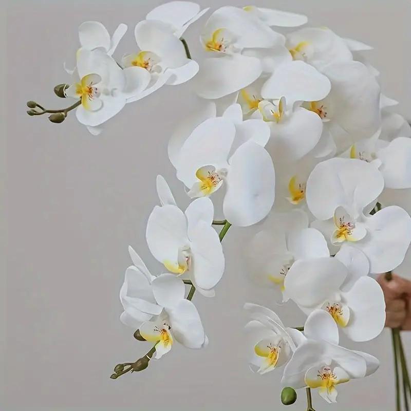 Realistic Phalaenopsis Orchid Single Stem for Wedding, Home Decor, and Floral Art