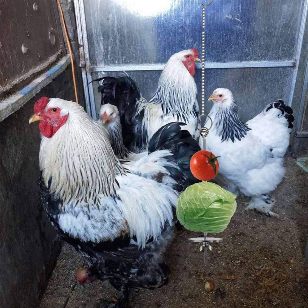 Verstellbarer Vogelkäfig Futterhalter Vogeltränke für Käfig Für Ara Wellensittich Papagei Wellensittich