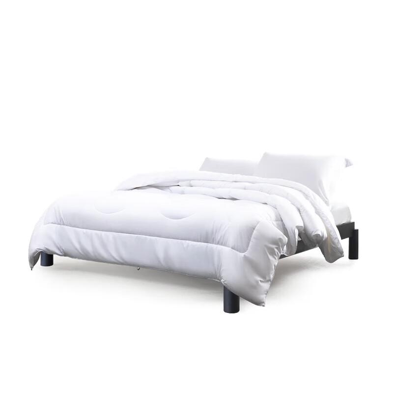 

Mercury Yilan Negative Ion Antibacterial Fiber Quilt