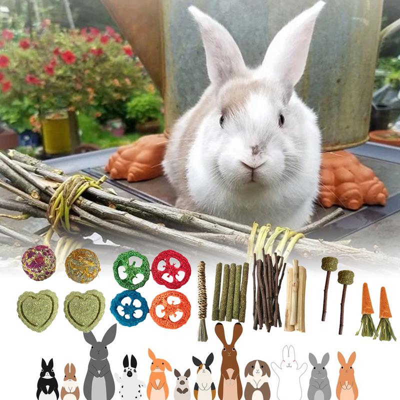 Bunny Chew Toys For Teeth Small Animal Molar Toy Wood Treats Safe Bite Resistant Chew Treats Supplies For Gerbils Small Pets