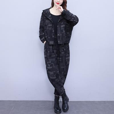 Spring Retro Plus Size Women's Casual Suit Loose Hooded Jacket Harem Pants Two-piece Set