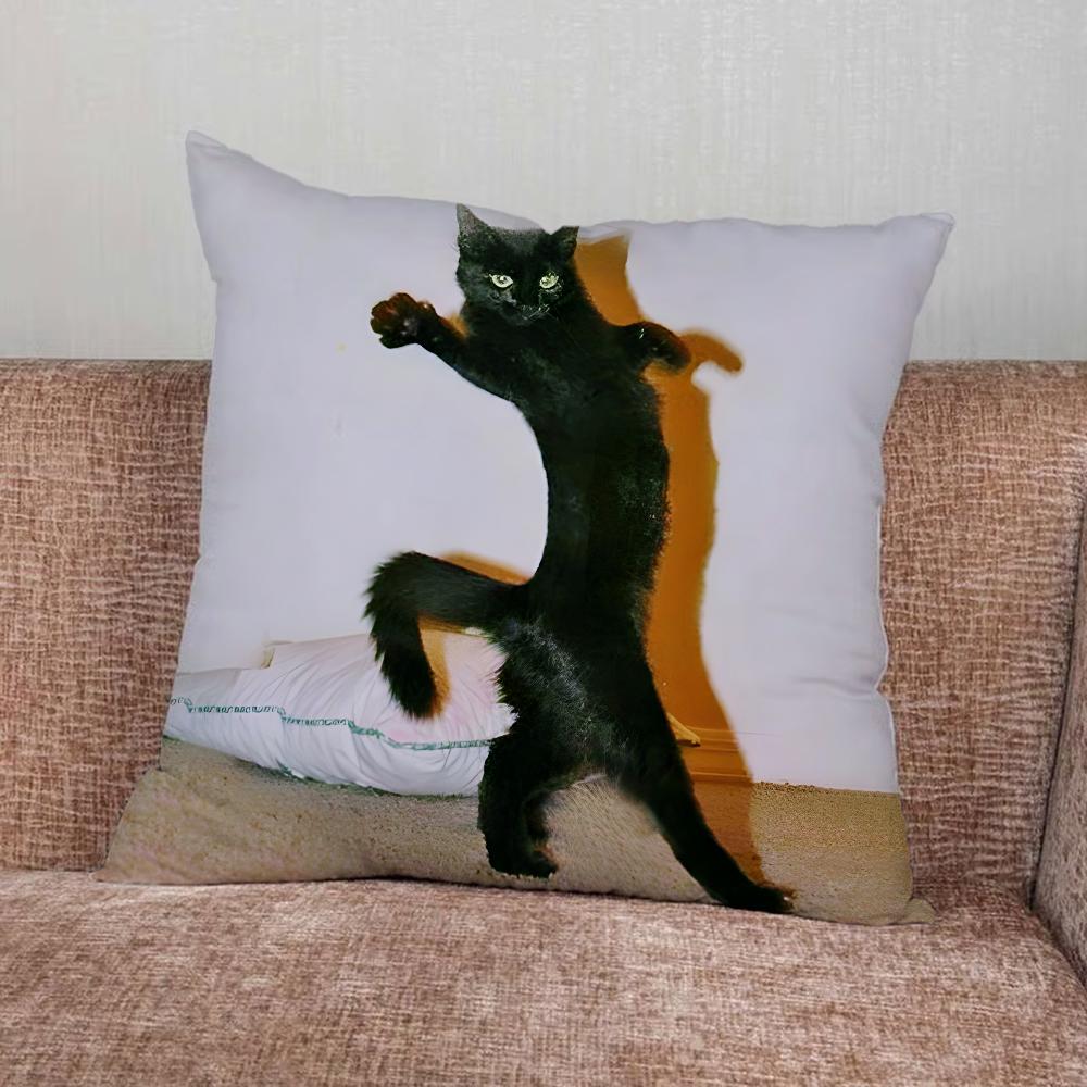 Pet Cat Funny memes Pillow Case For Home Bedroom Car Office Decoration Living Room Sofa Cushion Cover Suitable