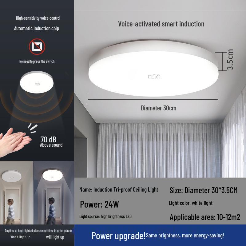 Smart Infrared Radar Sensor Ceiling Light for Stairways, Hallways, and Corridors with Voice Control