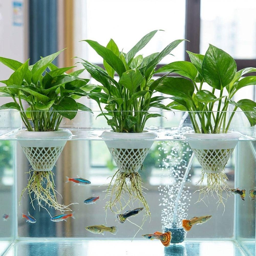 3D Printed Floating Aquarium Planting Basket Growing Pots Decorative Hydroponic Plant Basket Plastic Coexistence Floating Pot