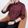 Camicia mercerizzata non stirabile da uomo, manica lunga, antipiega, camicia da cerimonia, tinta unita