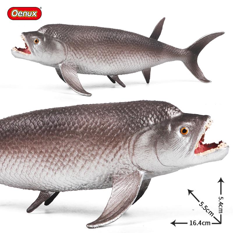 Oenux Meeresleben Modell Clownfisch Lachsbarsch Meerestier Spielfiguren PVC Hohe Qualität Bildung Miniatur Strand Kinderspielzeug