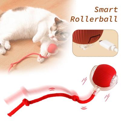 Interaktives Katzenspielzeug mit Schwanz, automatisches elektrisches Rollball-Spielzeug für Katzen, Hunde, Haustiere, intelligenter automatischer Teaser, wiederaufladbar über USB