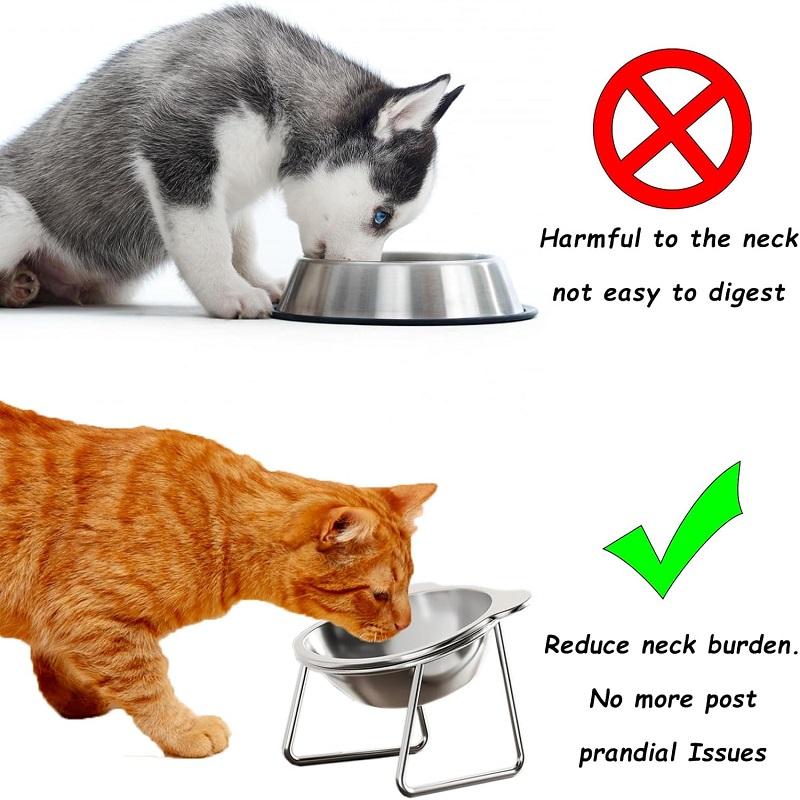 Cat Bowls Tilted Neck Guard Cat Food Bowl Indoor Stainless Steel Shatter Resistant Elevated 15° Pet Bowl For Kitten Puppy