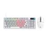 Logitech G316X Custom Gaming Keyboard and G102 Mouse Combo
