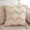 Simple Modern Tufted Tassel Pillow Sofa Living Room Lumbar Pillow Nap Pillow Bed Back Cushion Core-free Pillow Case
