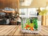 Tetra Plastic Aquarium Quiet Goldfish Keeping Easy to clean with a quiet filter media can be replaced without getting your hands SF-17GF Set filter;