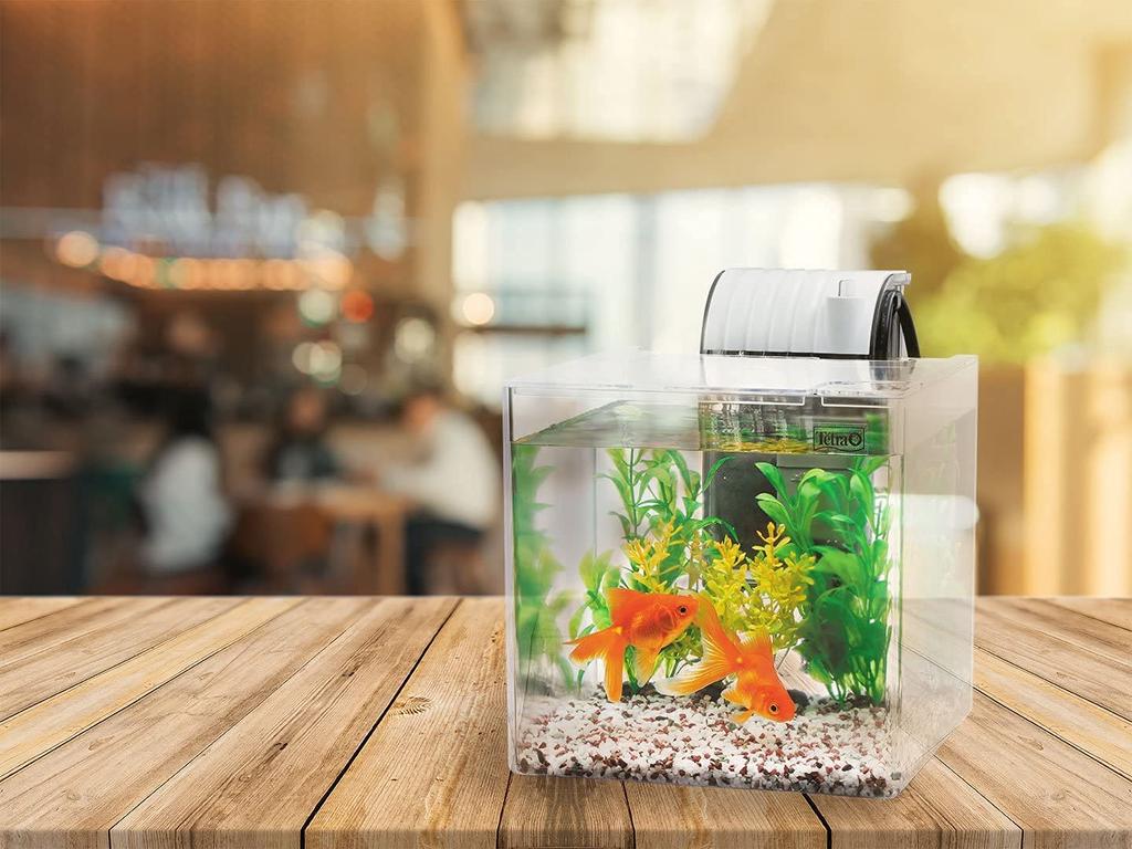 Tetra Plastic Aquarium Quiet Goldfish Keeping Easy to clean with a quiet filter media can be replaced without getting your hands SF-17GF Set filter;