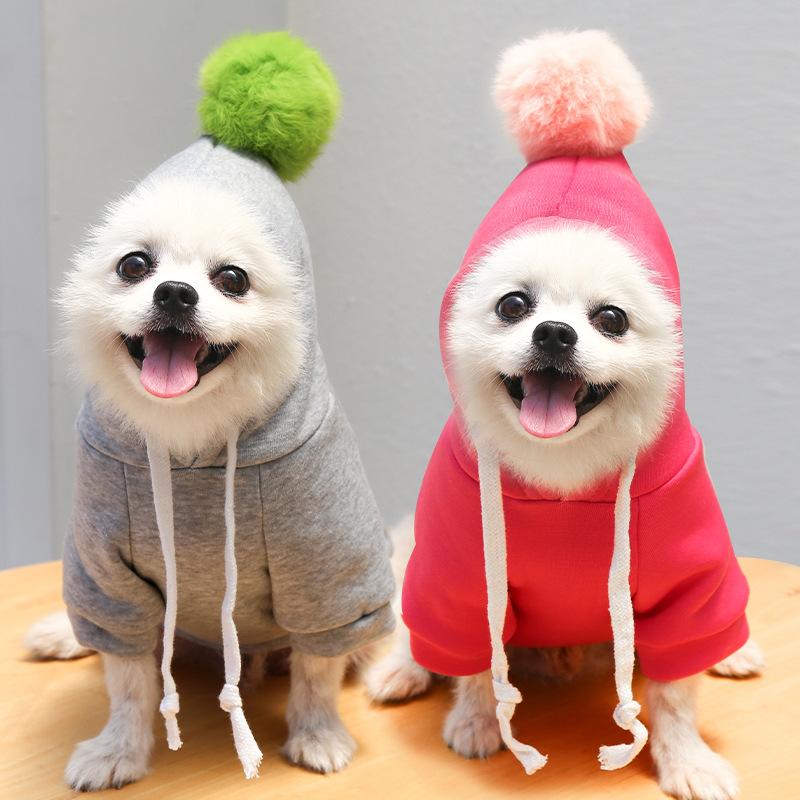 Ball Sweater Dog Cat Pet Teddy Fight Autumn and Winter Dog Clothes Cat Supplies Trendy Brand Pomeranian