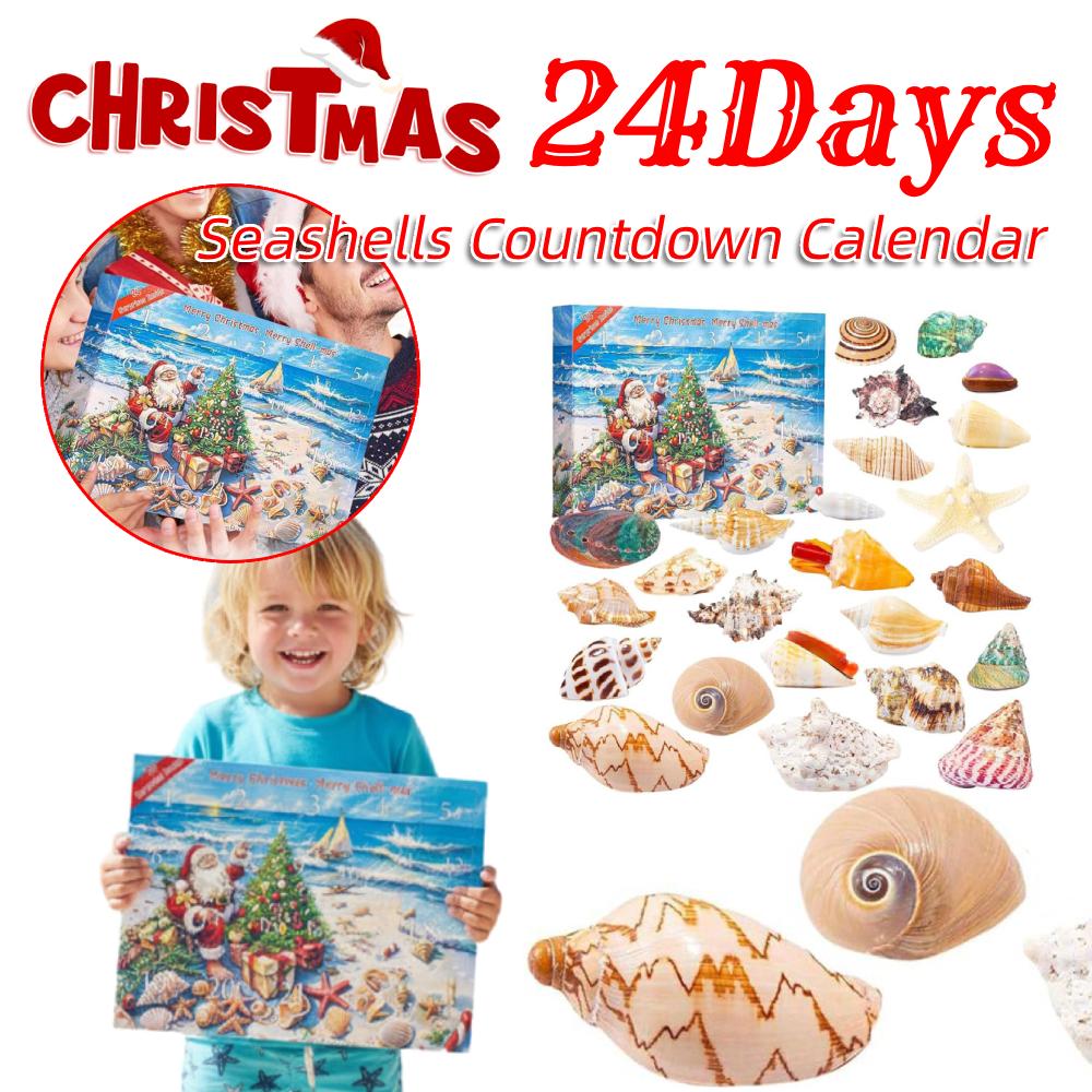 24 Days Seashells Christmas Countdown Calendar Scientific Seashells Model Educational Tool Xmas Countdown Advent Calendar Gifts