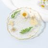 Real Dried Flowers Coaster Heat-Resistant Home Kitchen Transparent Cup Mat for Resin Handmade DIY Decor Unique
