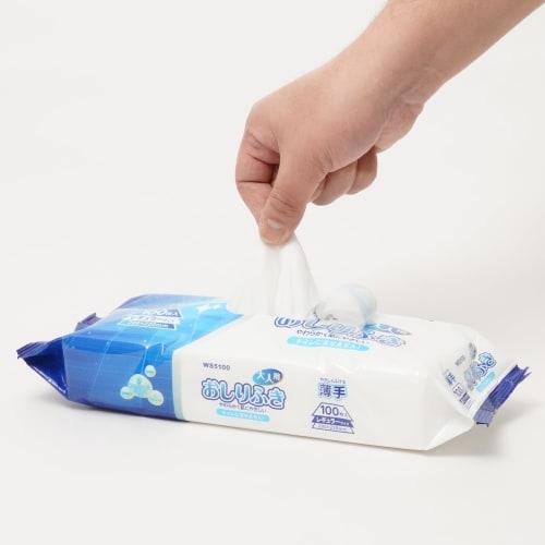 Case sale of 24 packs of 100-sheet adult wet wipes, thin, regular size, non-flushable, WS5100