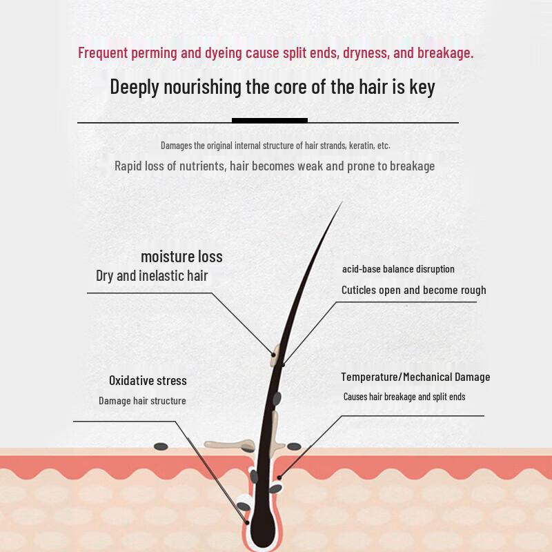 Die Yin Japanese Anti-Breakage & Shine Shampoo