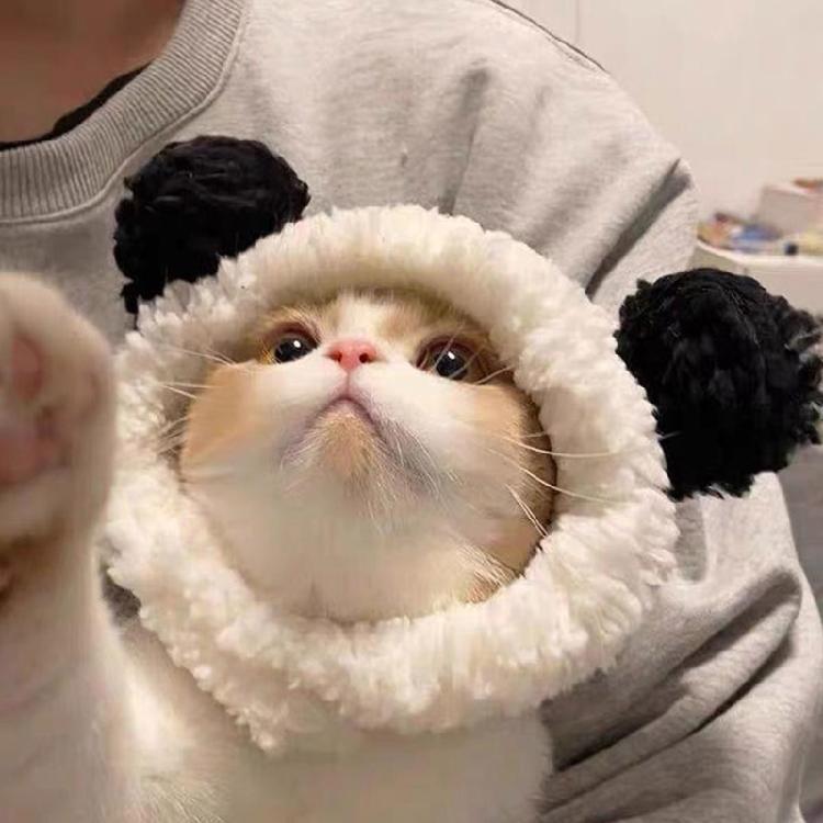 Pet Hat Cute Panda Shape Costume Party Accessories Animal-Safe Materials