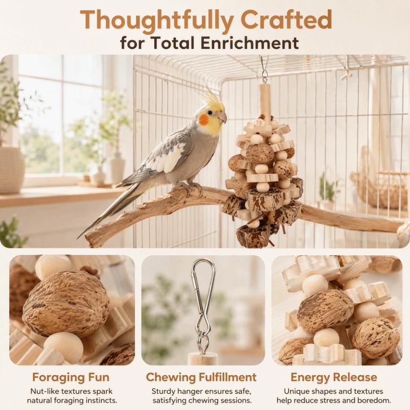 Beech Wood Wooden Chewing Toy Nut Grinding Texture Hanging Hanging Bird Toy Beak Grinding Interactive Play
