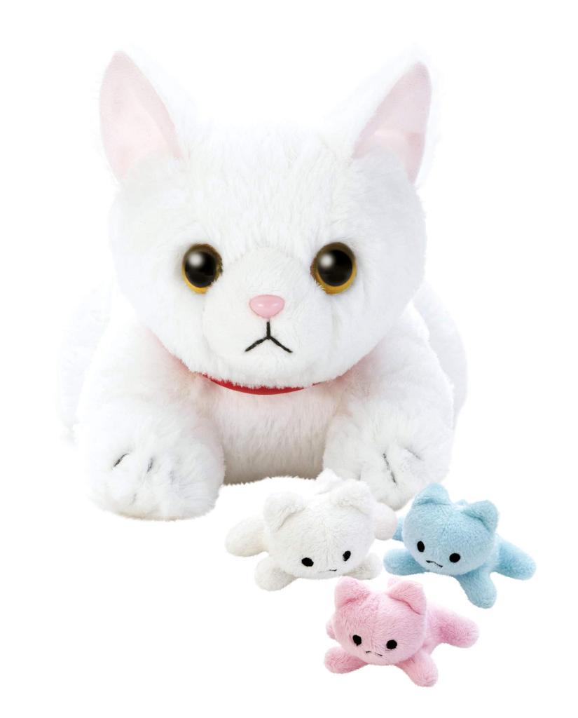 Dream Pet: I Gave Birth to a Cat