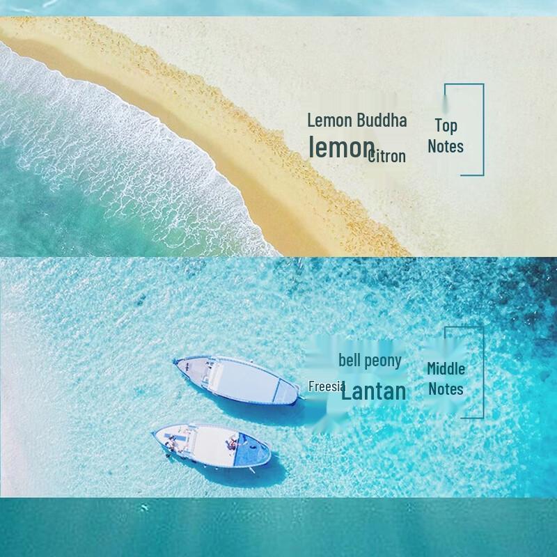 Syoss Purifying & Refreshing Shampoo