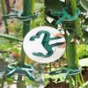 Plant Fixed Clips Reusable Garden Greenhouse Bracket Seedling Stem Support Fastener Garden Climbing Vines Vegetables Fixed Tool