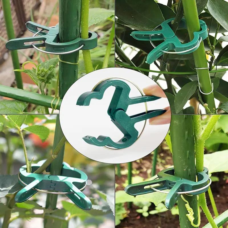 Plant Fixed Clips Reusable Garden Greenhouse Bracket Seedling Stem Support Fastener Garden Climbing Vines Vegetables Fixed Tool