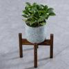  Extendable Plant Display Stand Pre Perforated Cavities Easy Assembly In 15 Minutes