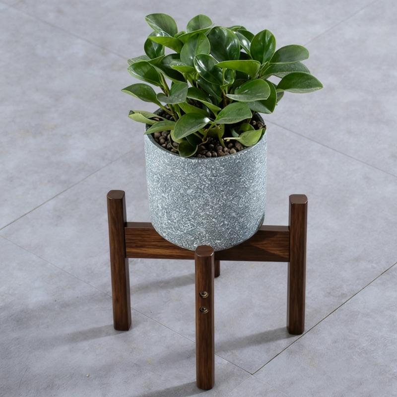  Extendable Plant Display Stand Pre Perforated Cavities Easy Assembly In 15 Minutes