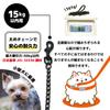 DOGPET Dog Chain Long Bracelet For Small and Medium Training Chain Weight Up To Thick Lead, Lead, Lead, Leash, Dogs, Walking, Traction, Lead,