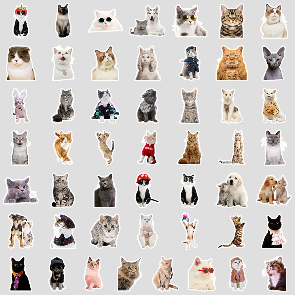 50 Cartoon Cute Kitten Emoticon Pack Graffiti Stickers Mobile Phone Case Hand Account Computer Suitcase Stickers