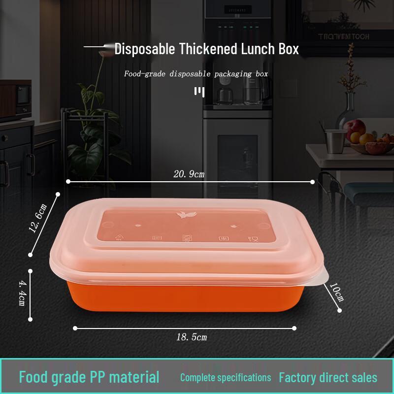 Disposable Japanese Style Rectangular Meal Box