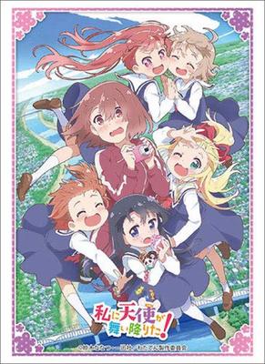 Bushiroad Sleeve Collection High Grade Angel Flew Down To Vol.1984 "An Me!"