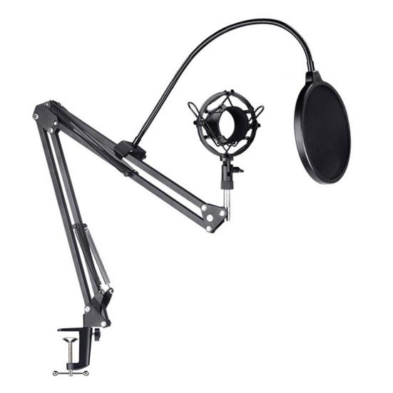 MIC Pop Filter Anti-shake Wind-proof Double-layer Plosives Reduction Condenser MIC Wind Screen for Recording