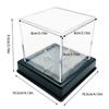 Baseball Holder Case Baseball Container Clear Acrylic Baseball Display Case Baseball Display Baseball Box with Stand