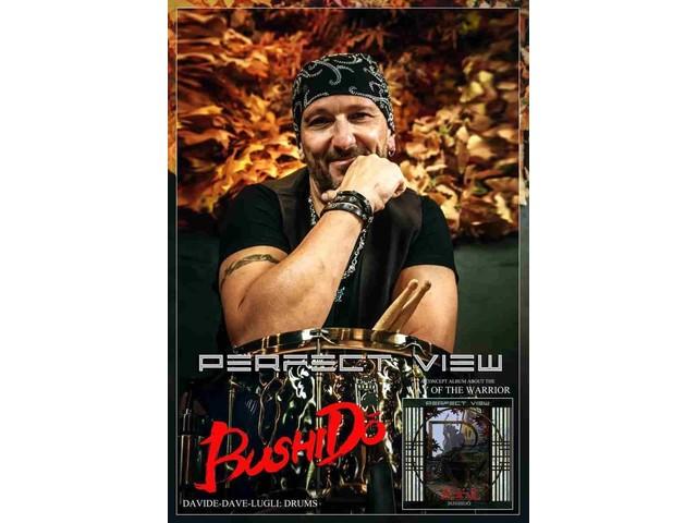 [CD] PERFECT VIEW BUSHIDO WITH BONUS TRACK RBNCD1373 Italian Melodic Metal NEW