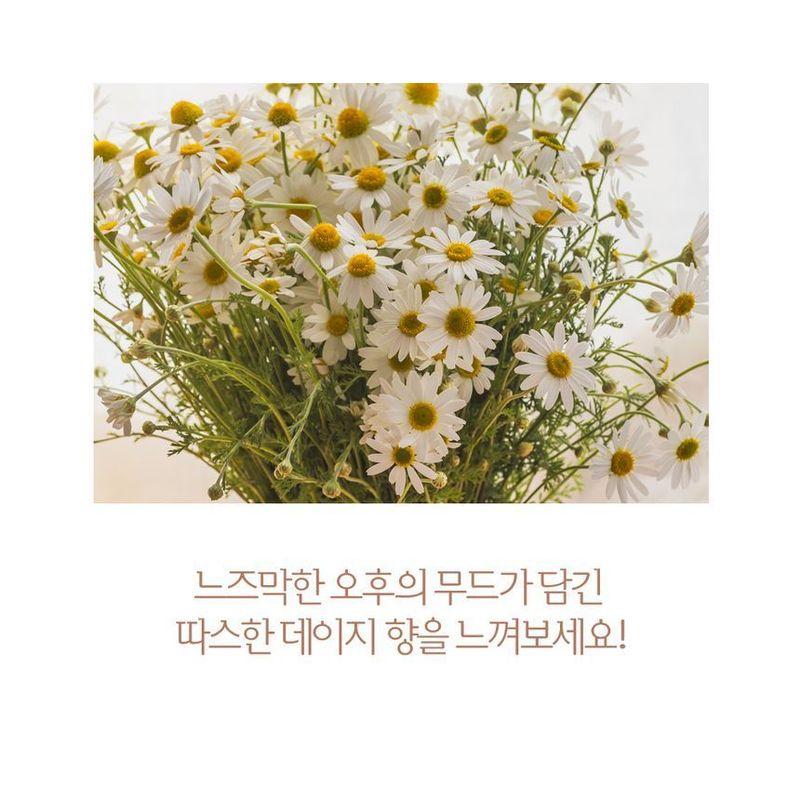 HOLIKA HOLIKA - My Fave Mood Eye Palette Matte Magique Collection - 2 Colors