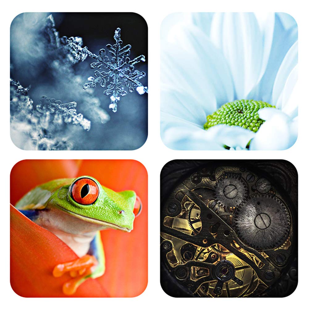 Ring 12mm 24mm AF Autofocus Extension Metal Macro Adapter Ring for Nikon Cameras DG-Z Close-Up Set, + Tube, Black, Z-Mount