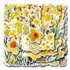 60 New Daffodil Daffodil Graffiti Stickers Decorative Suitcase Mobile Phone Skateboard Stickers