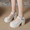 High-heeled Mary Jane Shoes Spring and Autumn New Retro Japanese Light Mouth Thick Heel Platform Small Leather Shoes