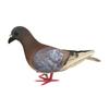 Realistische Taubenstatue Künstliche Vogelfigur Miniatur Nachbildung Taube für Innen Hochzeitsregal Dekor