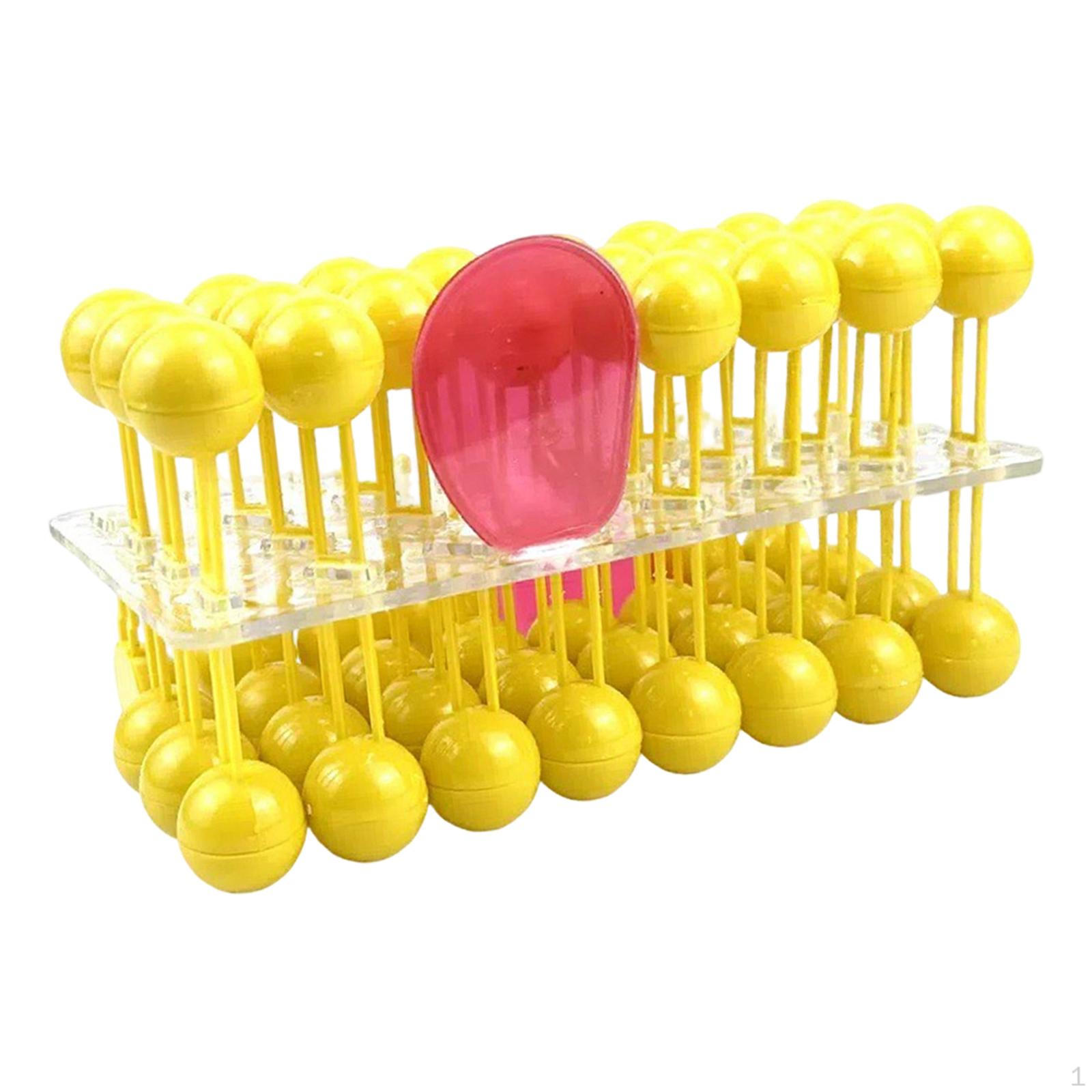 

Клетки Мембранная Структура Модель Учебное Пособие Желтый Гладкий Демонстрационный Аксессуар Прочный для