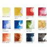 Winsor Newton Professional Watercolor Field Pocket Set 18809685 & Set, 12-Piece (Half Pans)