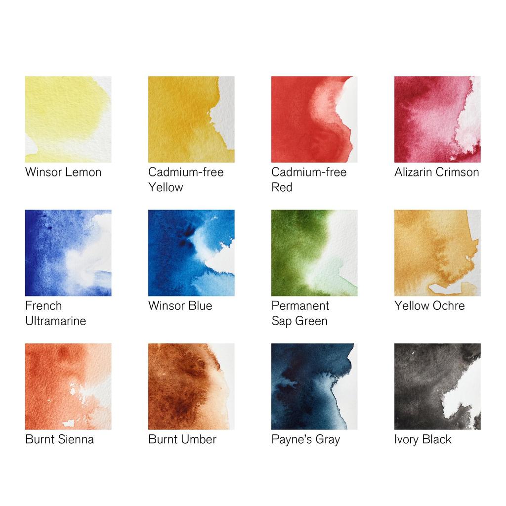 Winsor Newton Professional Watercolor Field Pocket Set 18809685 & Set, 12-Piece (Half Pans)